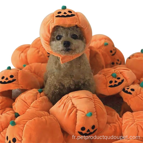 Petit animal de compagnie en peluche d&#39;hiver en forme de citrouille d&#39;Halloween